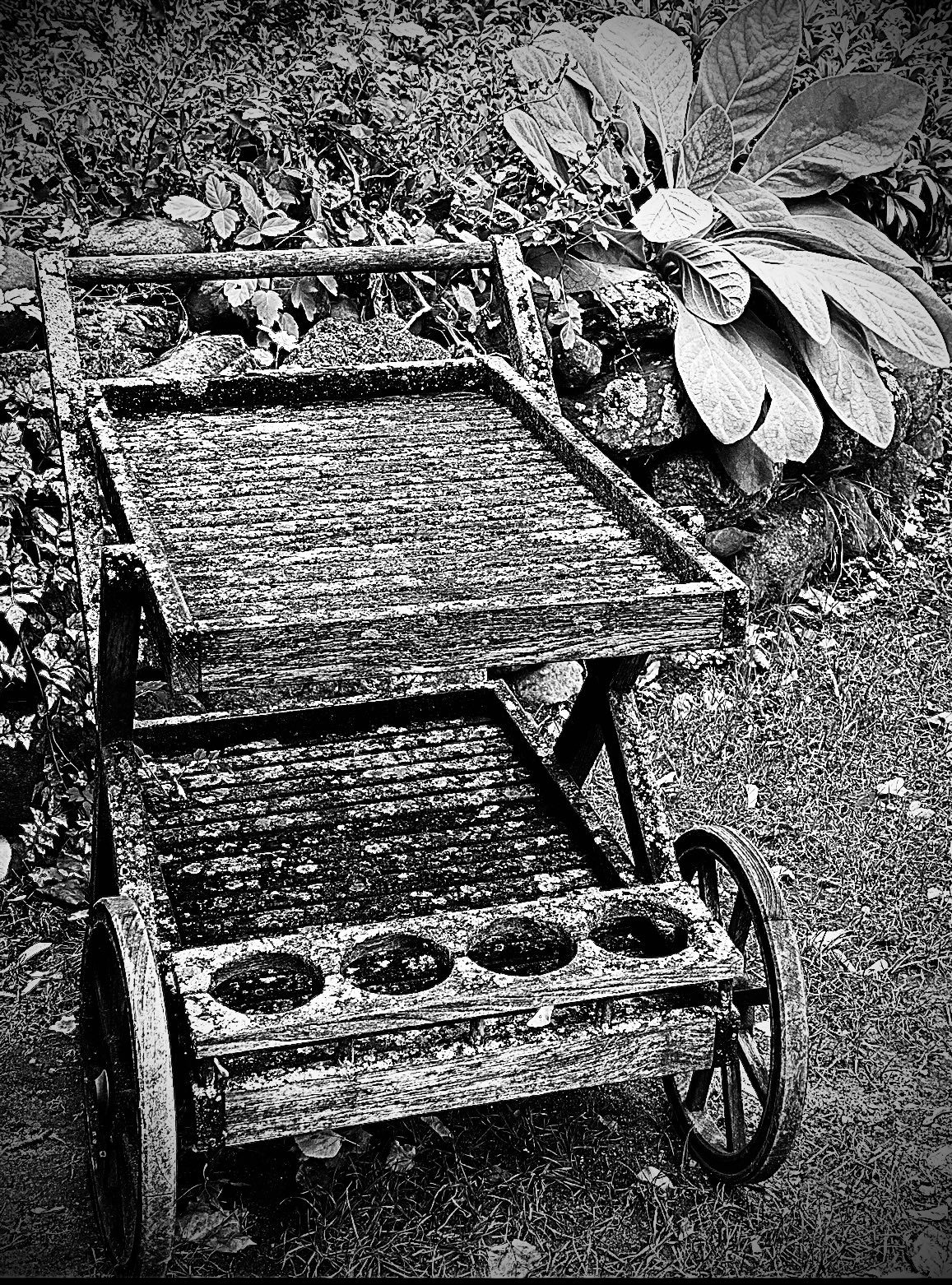 Left Behind