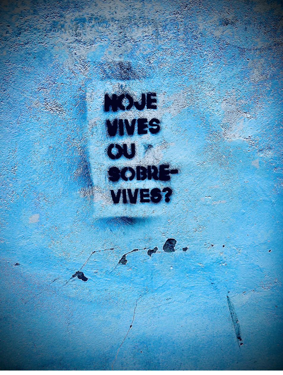 Hoje